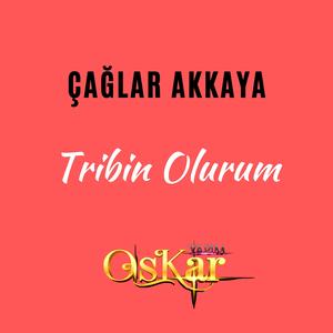 Tribin Olurum