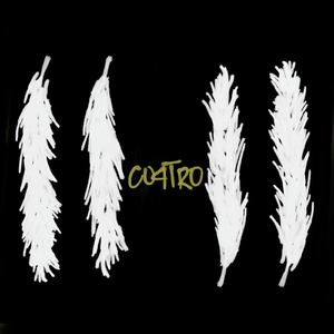 Chui