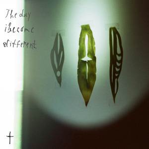 skateboard hallucinations