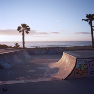 I Can't Help Falling In Love With You