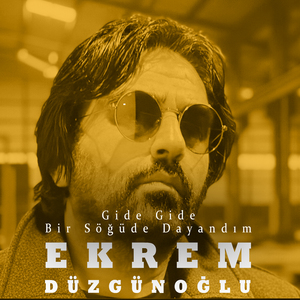 Gide Gide Bir Söğüde Dayandım