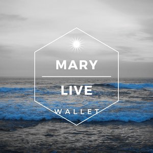 Wallet (Radio edit)