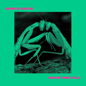 Till Your Rose Comes Home