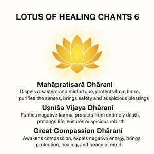 Uṣṇīṣa Vijaya Dharani (佛顶尊胜陀罗尼咒)