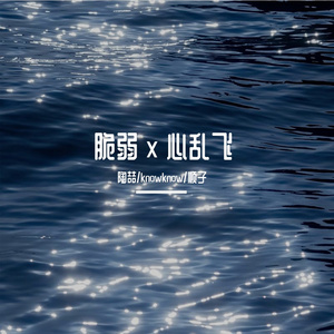 脆弱 x 心乱飞 - 陶喆/Knowknow/顺子