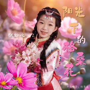 阳光下的格桑花