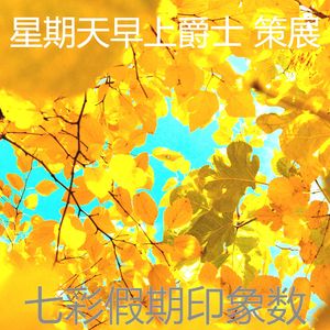 抚慰的假期回忆