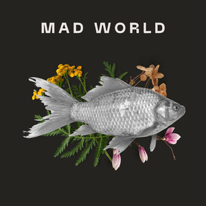 Mad World