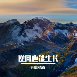 少年的理想