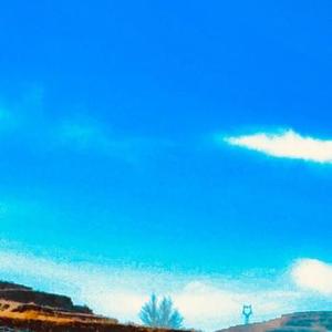 这一生关于你的风景