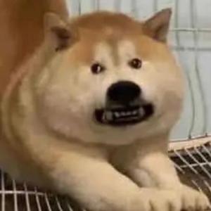 诀爱 （cover 詹雯婷）