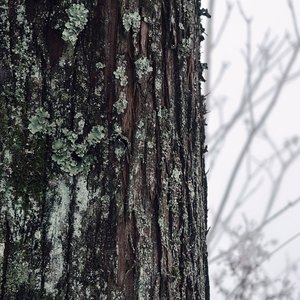 人间的春（Remix）