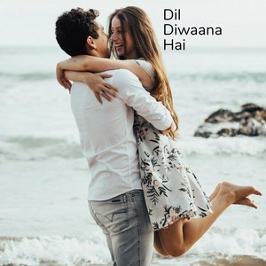 Dil Diwaana Hai