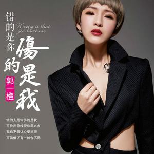 错的是你 伤的是我 (DJ何鹏版伴奏)