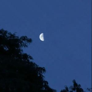 反正路也要一个人走（茫）