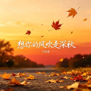 想你的风吹走深秋