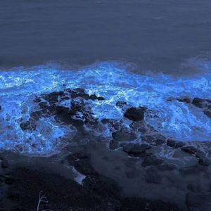 ☁️☁️☁️（0.8x）