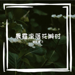 沉沦蒲公英吻过