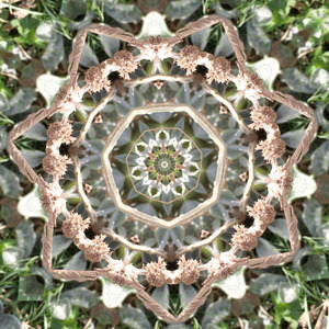 Access deeper levels of consciousness