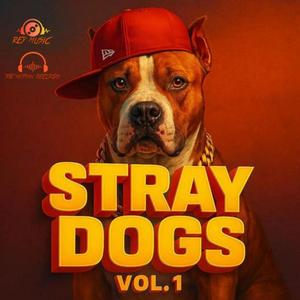 STRAY DOGS, Vol. 1 (feat. CABU, Santi king, Aterrante, Letal max, Mr William, Valentino flow, YAIL EL FLOW INMINENTE, KENNEDY, BLAST, El maick & Gabiinho 507)