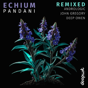 Incana (Andrologic Remix)