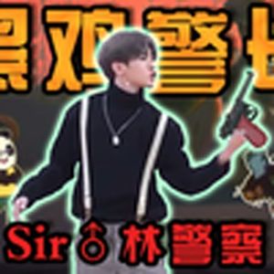 黑猫警长(小黑子)