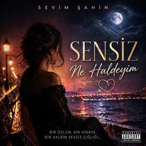 Sensiz ne haldeyim