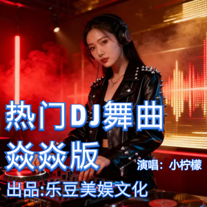 少年（经典车载DJ劲爆舞曲）