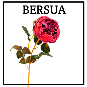 BERSUA
