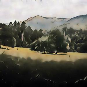 The Cycle Of Birth, Love, Death, and Rebirth