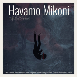 Havamo Mikoni