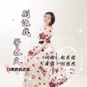《别让我等太久》DJ粤韵积武版