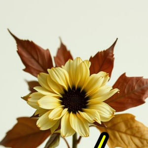 Sendiri (Remastered 2025)