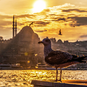 Ayrılamam Yaşayamam