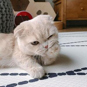 请叫我布偶-写给黄淮_01