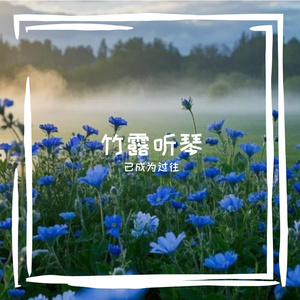竹露听琴