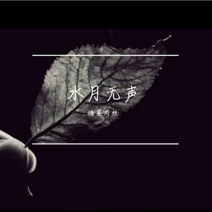 岁月无声 伴奏