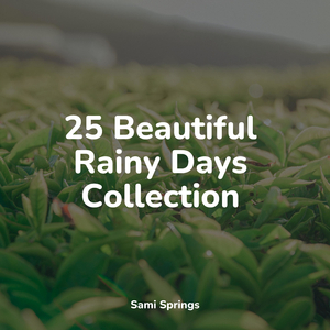 White Noise Rain in the River