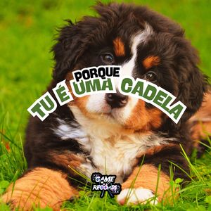Porque Tu É uma Cadela