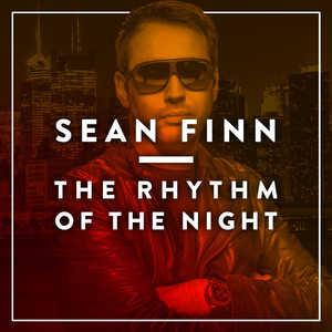 The Rhythm of the Night (Album Version)