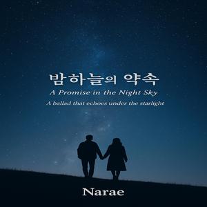 밤 하늘의 약속