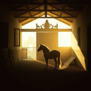 First Coin in the Dust