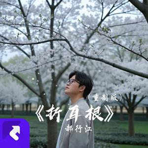 折耳根（重制版） (现场)