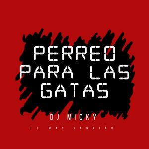 Perreo Para Las Gatas