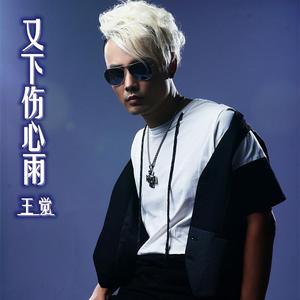 又下伤心雨 伴奏