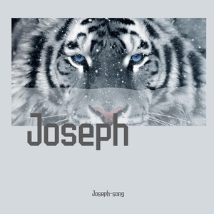 handsome lau-梦醒 -（Joseph-song Remix