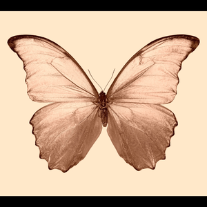 【FREE】“梦蝶” Keshi x Toosii Type Beat