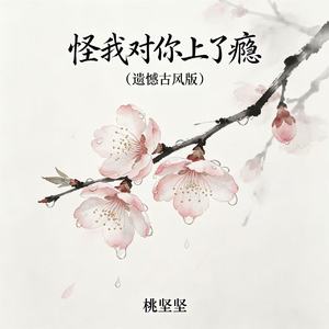 怪我对你上了瘾(遗憾古风版)