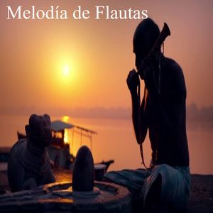 Eliminación de Malas Vibras