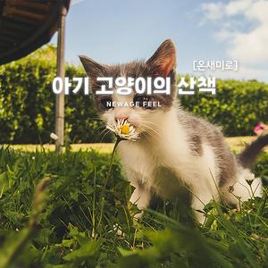 바람을 따라 걷다 날다